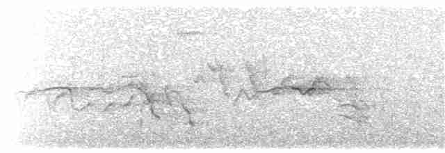Mäusebussard (vulpinus/menetriesi) - ML203898131