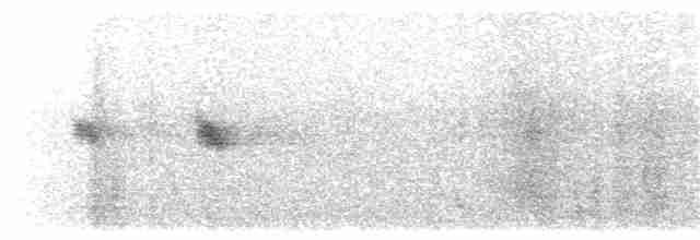 Blyth's Reed Warbler - ML203898261