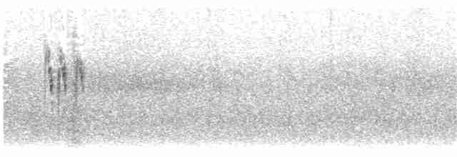 Кам’янка лиса - ML203899061