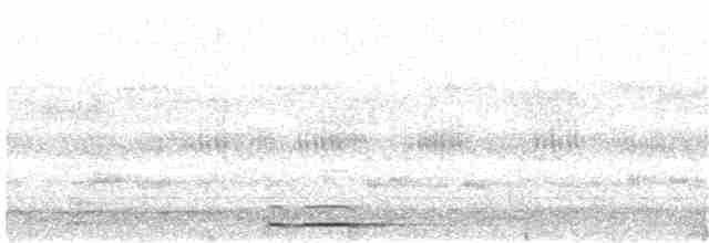 蘭嶼角鴞 - ML203899261