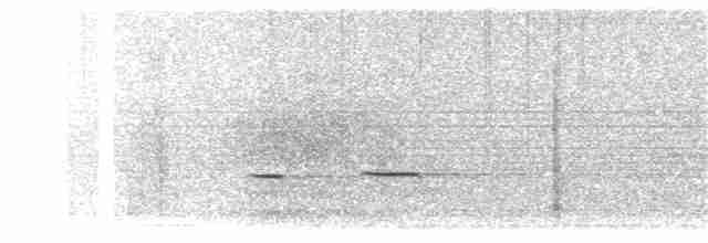 Striped Cuckoo - ML203899471