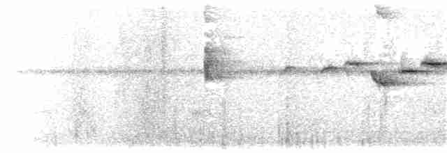 Flavescent Warbler - ML203899651