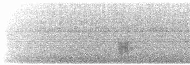 Black-tailed Tityra (Eastern) - ML203899761