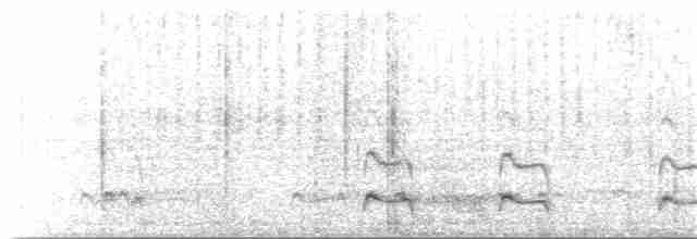 European Bee-eater - ML203900161