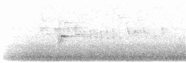 Gray Heron (Gray) - ML203900361