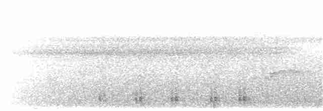 Koca Başlı Motmot [platyrhynchum grubu] - ML203900461