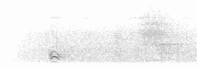 Kara Tepeli Gri Karıncaavcısı - ML203900541