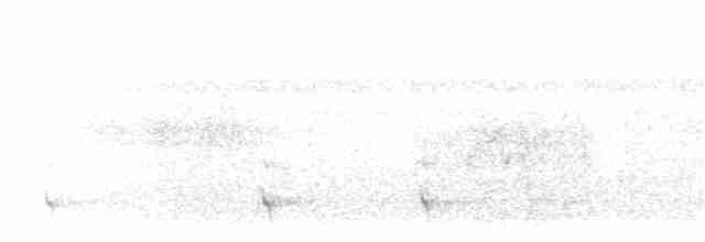 White-tailed Trogon - ML203900551