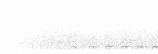 White-tailed Trogon - ML203900561