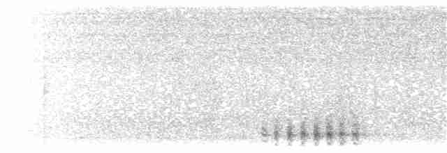 Slaty-tailed Trogon (Massena) - ML203900571