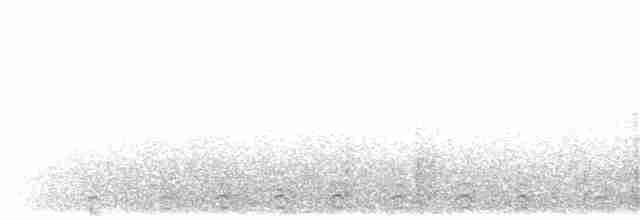Slaty-tailed Trogon (Massena) - ML203900601