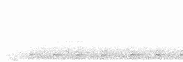 Gri Kuyruklu Trogon (massena/hoffmanni) - ML203900611