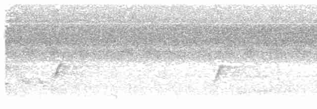 Тонкоклювый цикадник (obiense/pelingi) - ML203903191