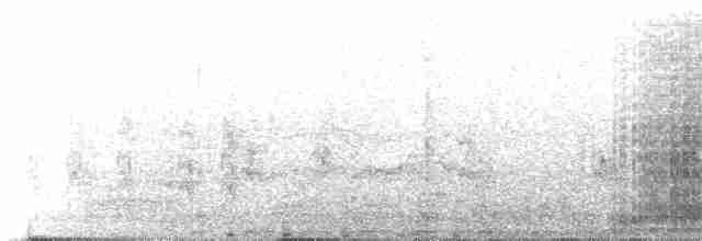 Красноногая олуша (rubripes) - ML203906391