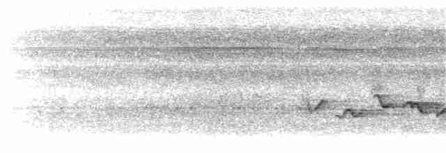 Окулярник біловолий (підвид fuscifrons) - ML203906981
