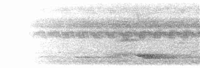 Сверкающий дронго (atrocaeruleus) - ML203907111