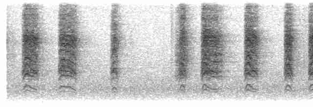  - Dark-brown Honeyeater