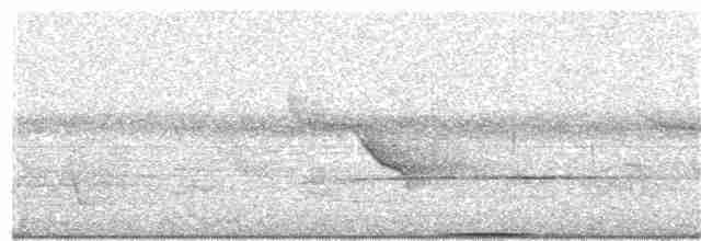 holub novokaledonský - ML203908101