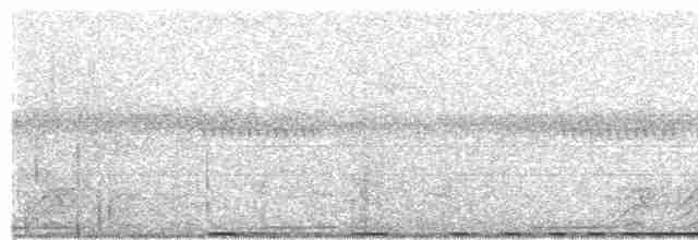  - New Caledonian Imperial-Pigeon