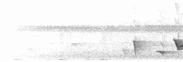 Siffleur des Fidji (groupe vitiensis) - ML203908531