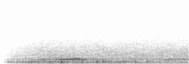 Султанская кукушковая горлица [группа albicapilla] - ML203909351