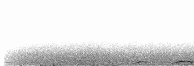  - Island Imperial-Pigeon