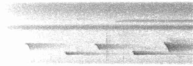 Oriole Whistler - ML203910131