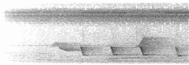 Pin-striped Tit-Babbler (Pin-striped) - ML203910241
