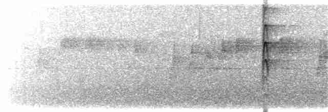 Gray Fantail (alisteri) - ML203910371