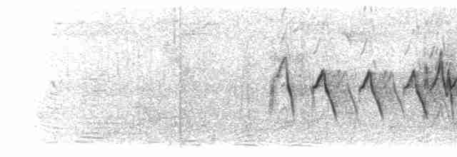 ML203911011 visualization