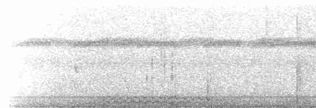  - Pacific Imperial-Pigeon