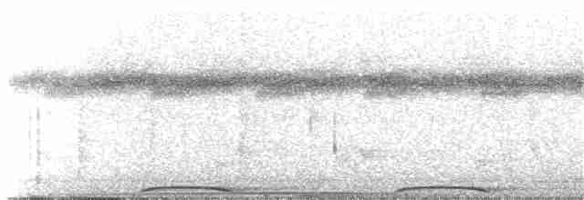 holub tonžský (ssp. porphyraceus) - ML203911061