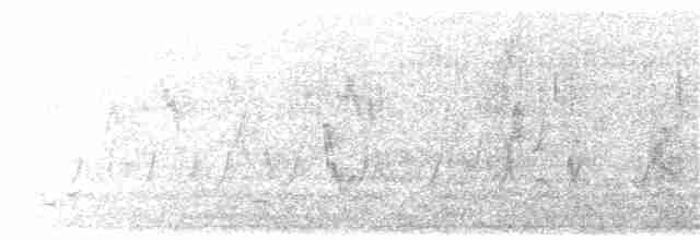 vlaštovka dlouhoocasá - ML203911491