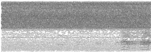 Крикливый шлеморог (fistulator) - ML203911681