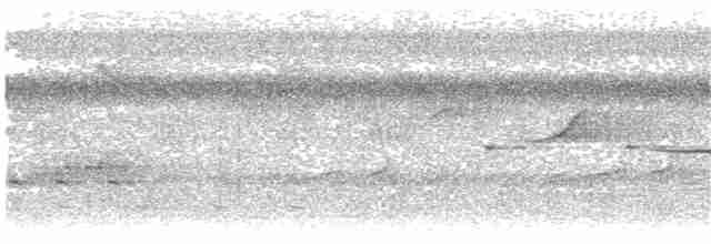 Зозуля товстодзьоба (підвид validus/brazzae) - ML203911751
