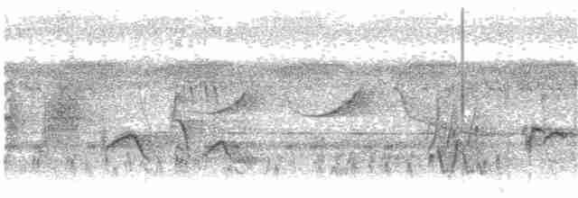Мухарка лісова (підвид prosphora/kelsalli) - ML203912001