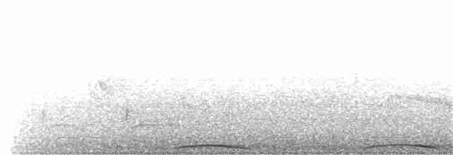 holub červenobřichý - ML203912231
