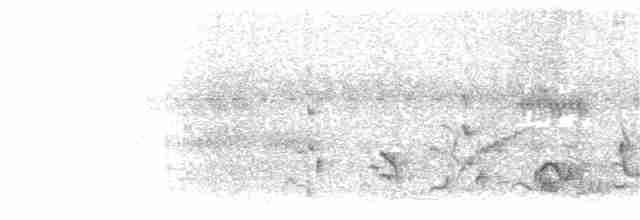 Тирч плямистоволий - ML203912311