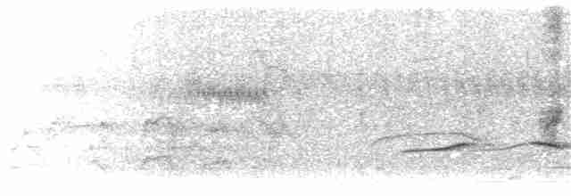 Тирч плямистоволий - ML203912321