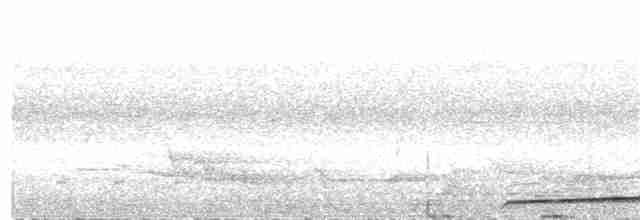 Кораловоклювая воронья кукушка - ML203912351