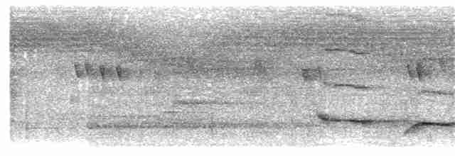 Краснохвостый шелкопёр - ML203912401