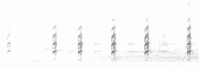 Кулик-довгоніг чорнокрилий - ML203912801