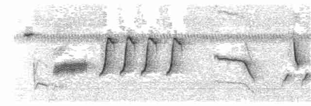 Troglodyte de Zapata - ML203913041