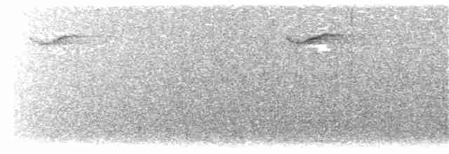 Вилохвістка плямиста - ML203913261