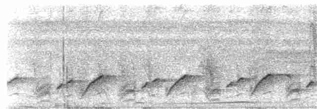 Чернобровый личинкоед-свистун (leucoptera) - ML203913271