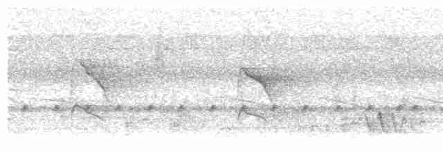 Гололицая либия (calvus/congicus) - ML203913991