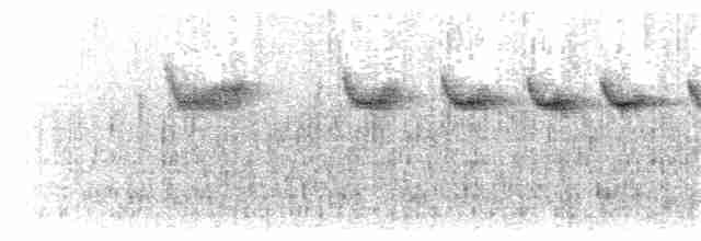 Вилохвістка плямиста - ML203914411