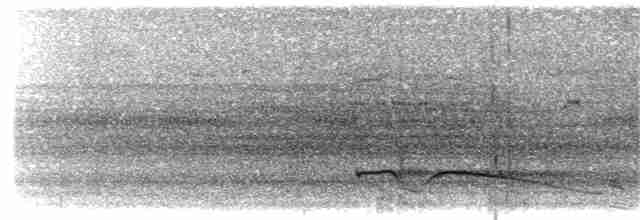Riesennachtschwalbe - ML203914921