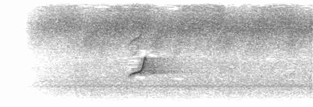 Drongo à crinière (hottentottus/brevirostris) - ML203915191