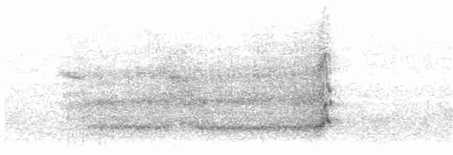 Сова яструбина (підвид ulula/tianschanica) - ML203915891